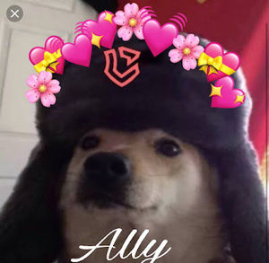 Meet your Posher, Allyson